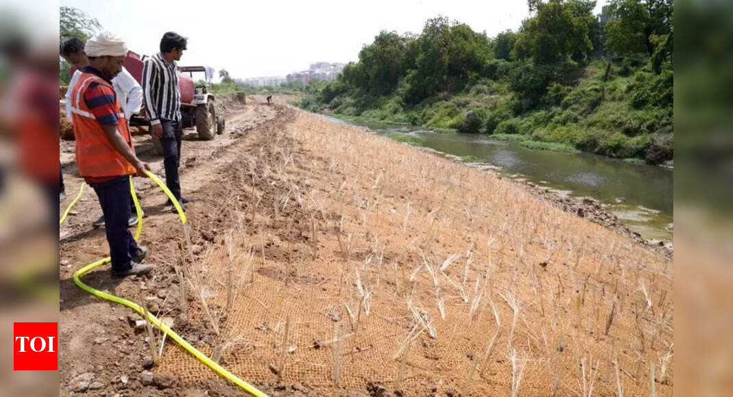 City Undertakes Riverbank and Drainage Work Amidst Monsoon Concerns