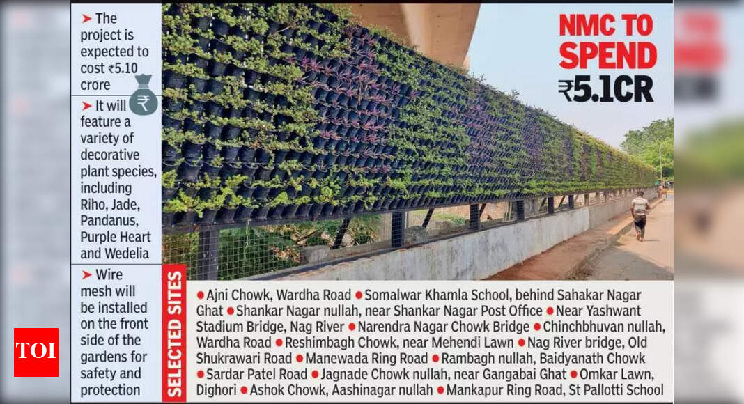 Nagpur Intensifies Mosquito Control Efforts Before Monsoon