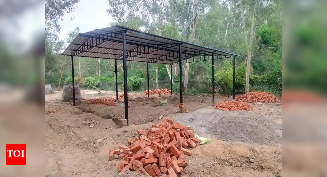 Noida Halts Crematorium Revamp in Biodiversity Park Amid Concerns