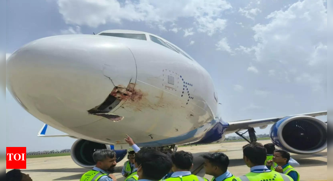 Bird Strike Forces Emergency Landing of IndiGo Flight in Ranchi