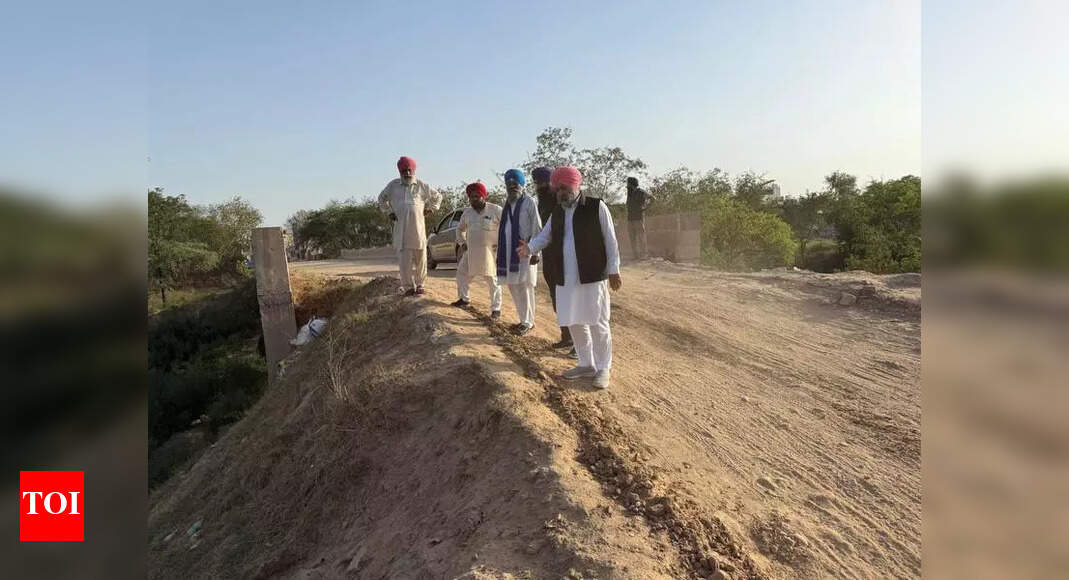 Southern Bypass Bridge in Ludhiana Shows Damage, Raising Safety Concerns