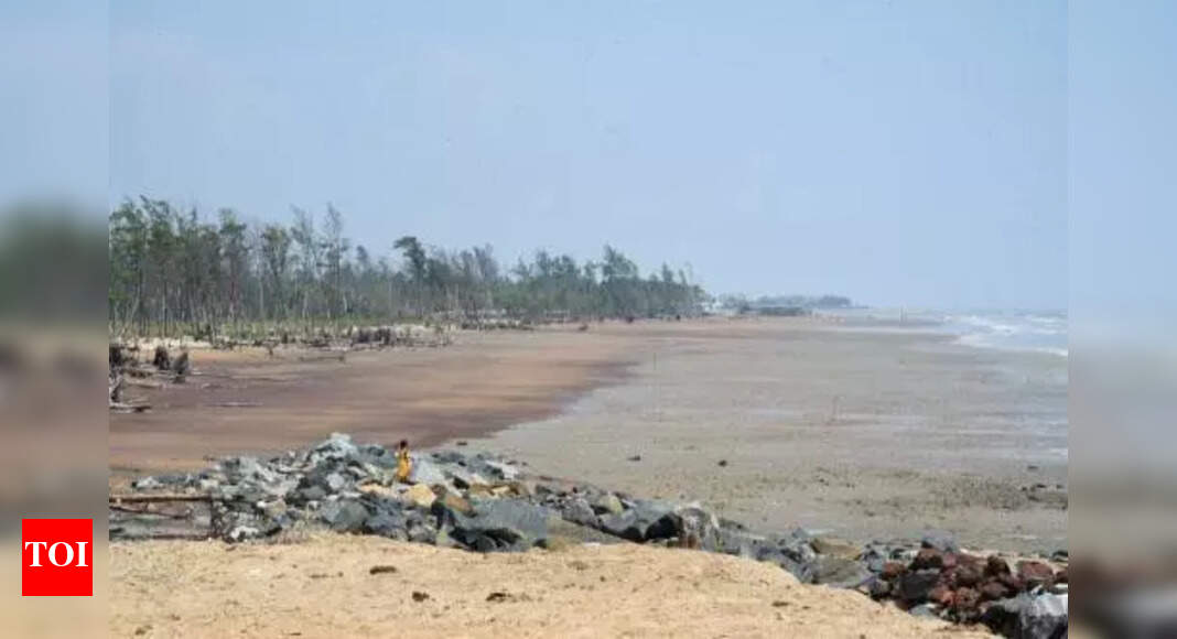 West Bengal to Retender Tajpur Port; JSW, DP World may Bid