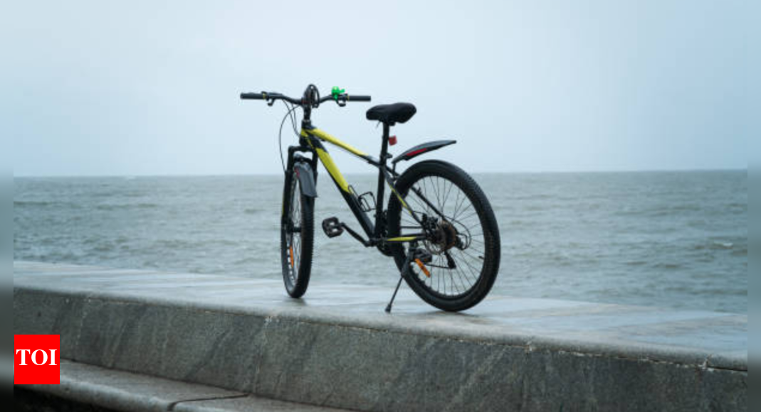 World Bicycle Day 2025: Why bicycle is more than just a ride; health benefits to know