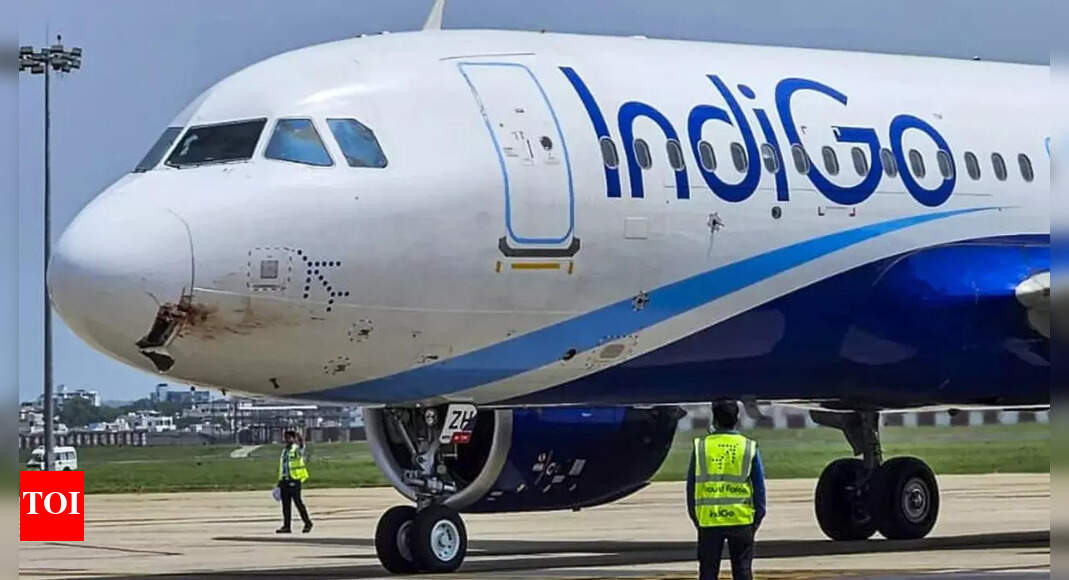 Passenger Dies On IndiGo Flight Before Takeoff in Chennai