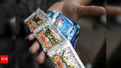 Crackdown on pan masala brands in Delhi over use of plastic sachets, says CPCB