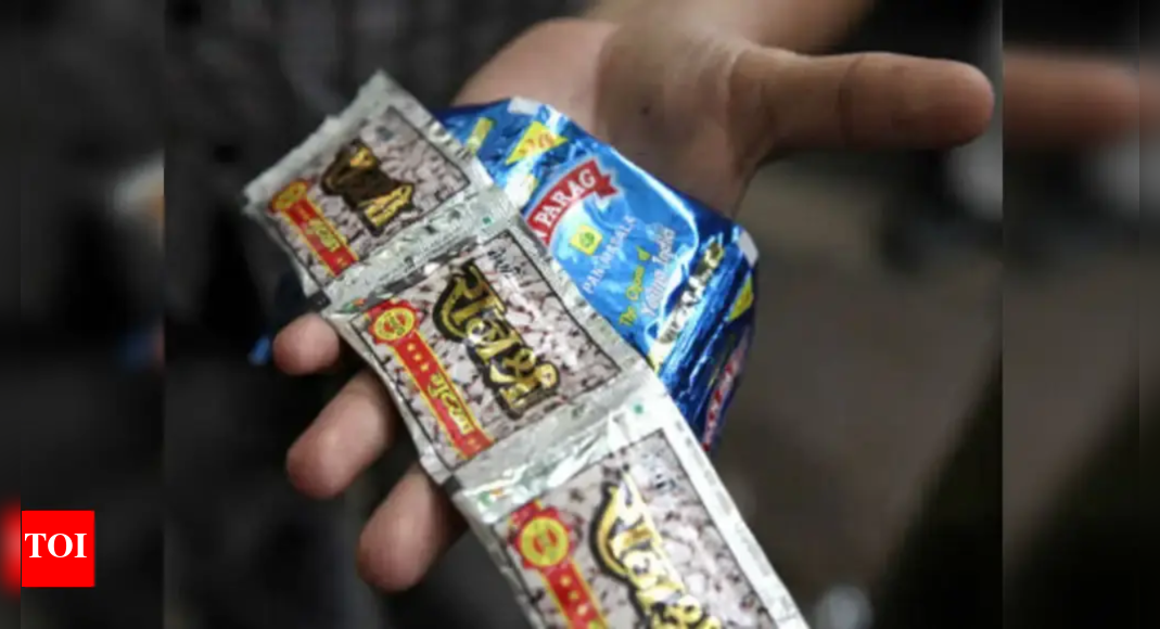 Delhi Pan Masala Brands Face Crackdown over Plastic Use