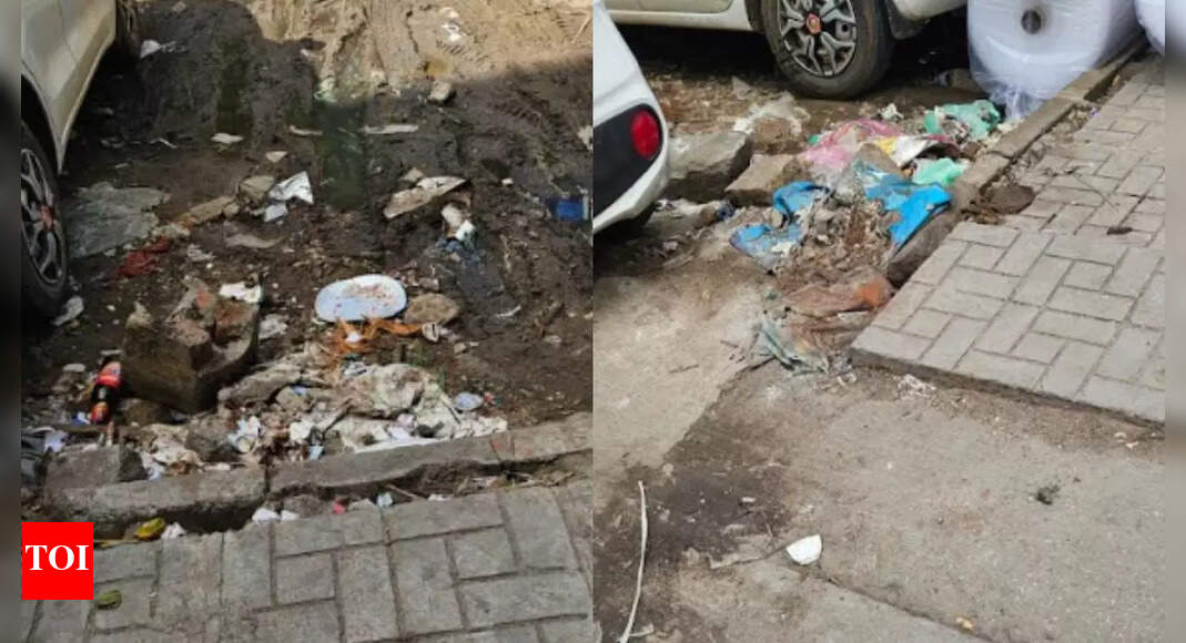 Bengaluru Market Clean-Up: Traders Criticize BBMP's Efforts