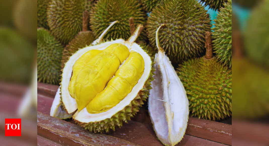 Tourist Fined for Durian in Singapore Hotel: Know the Rules