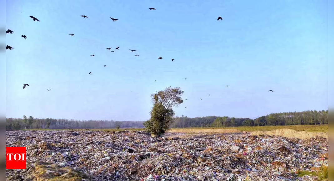 Haridwar Land Scam: Senior Officials Suspended Amid Corruption Probe