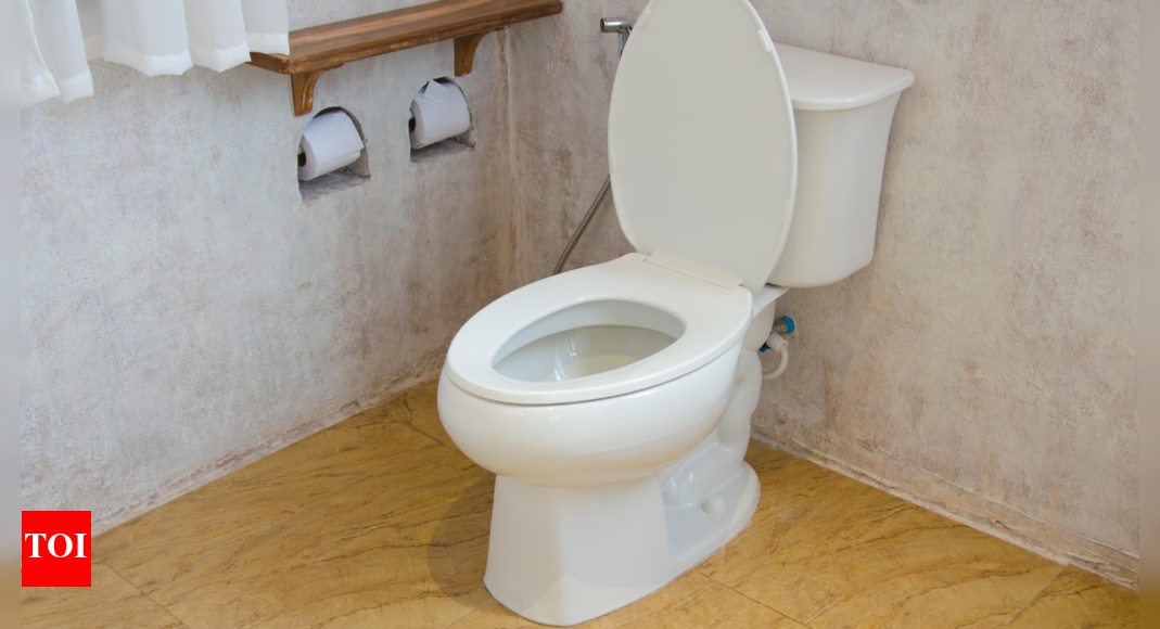 Experts Recommend Best Time to Poop: Ayurvedic Insights