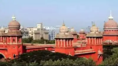 Madras HC upholds Tamil Nadu's restrictions on online real money games, including night ban and Aadhar mandate