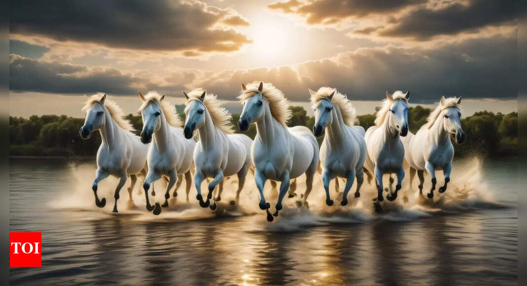 How to Place Seven Horses for Prosperity in Your Home