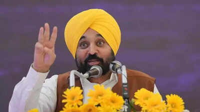 Bhagwant Mann Bhagwant Mann's 'one nation, one husband' remark: BJP says it is 'vulgarity dressed as leadership'