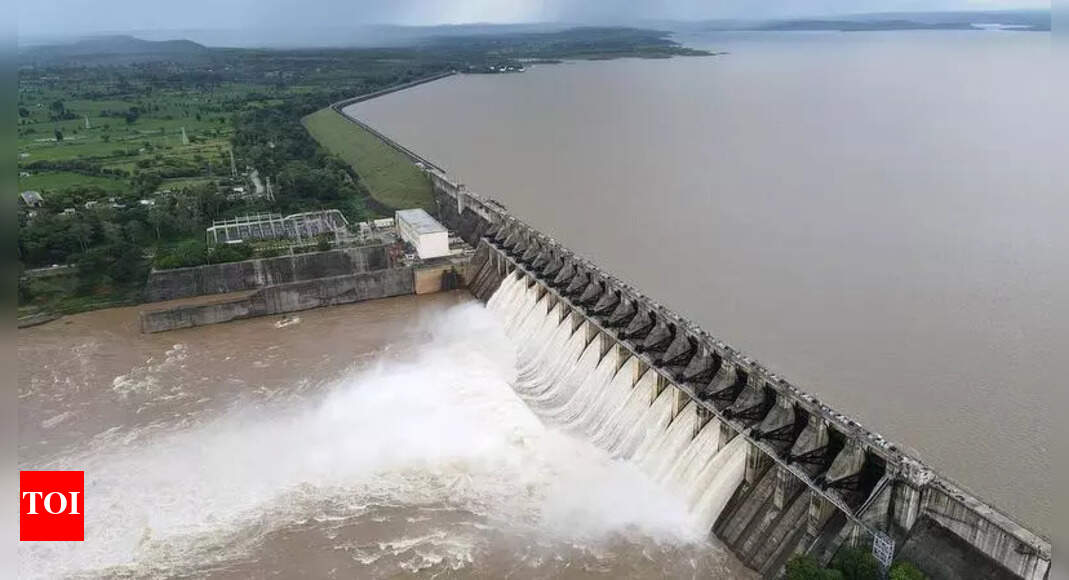 Gujarat Company to Replace Tungabhadra Dam's Crest Gates