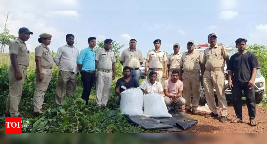 Drug Peddlers Arrested in Keonjhar, Over 50 kg Poppy Straw Seized