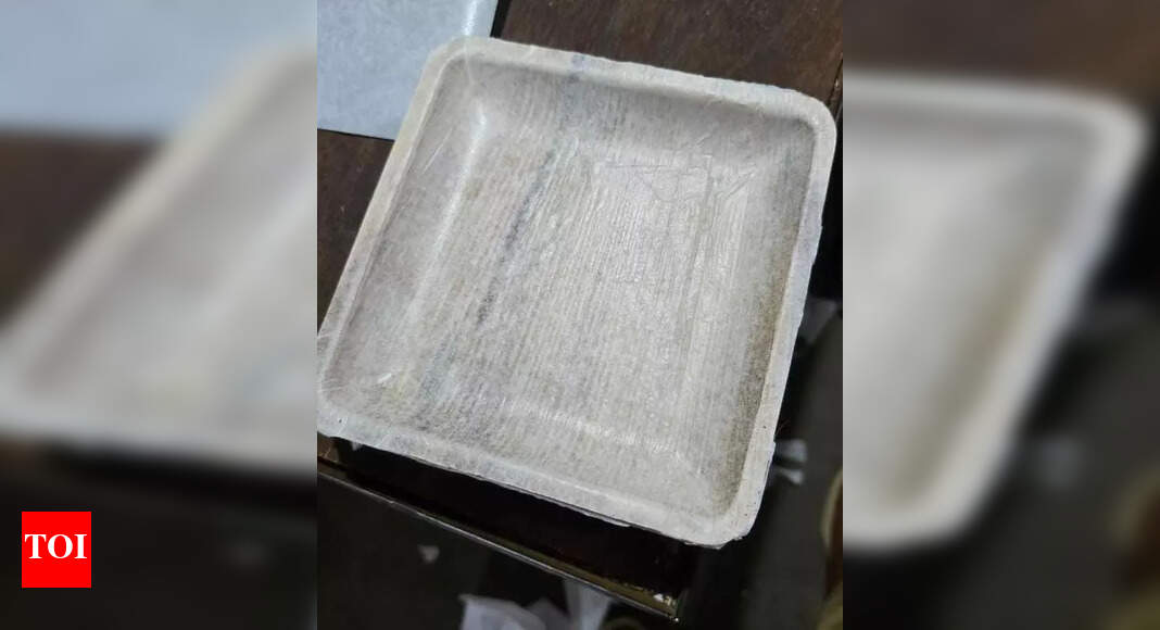 Entrepreneur Develops Eco-Friendly Areca Plate Alternative After US Ban