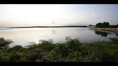 Release water at 500 cusecs: TN to Andhra Pradesh