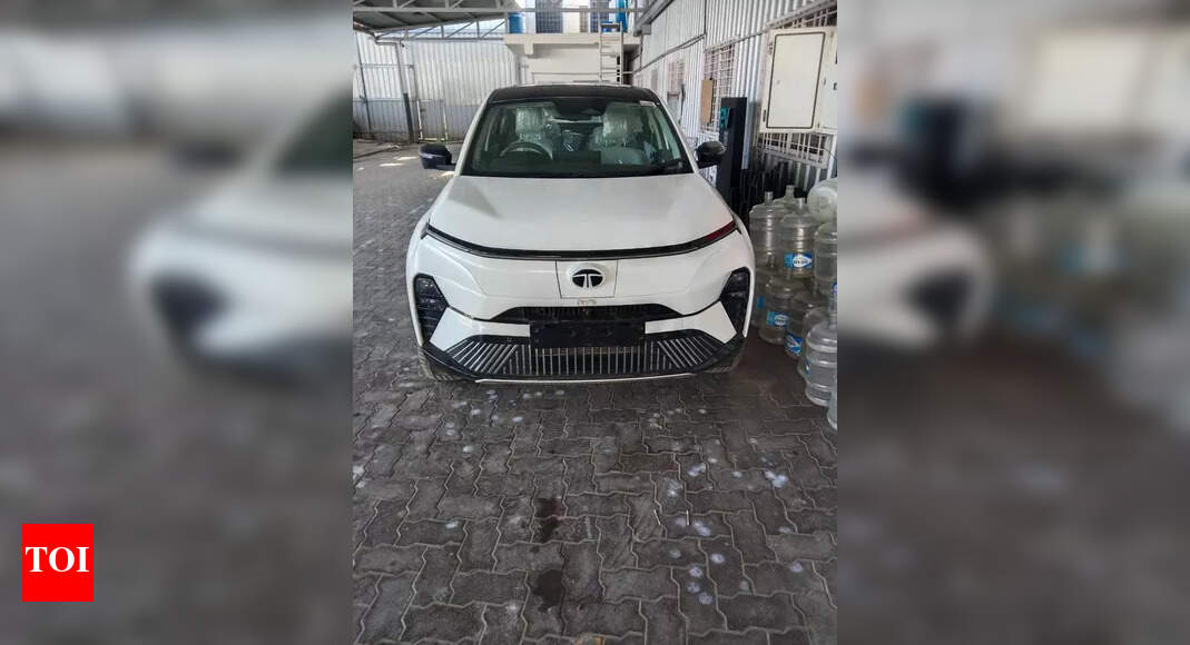 Man Arrested for Stealing ₹23 Lakh Electric Car in Coimbatore