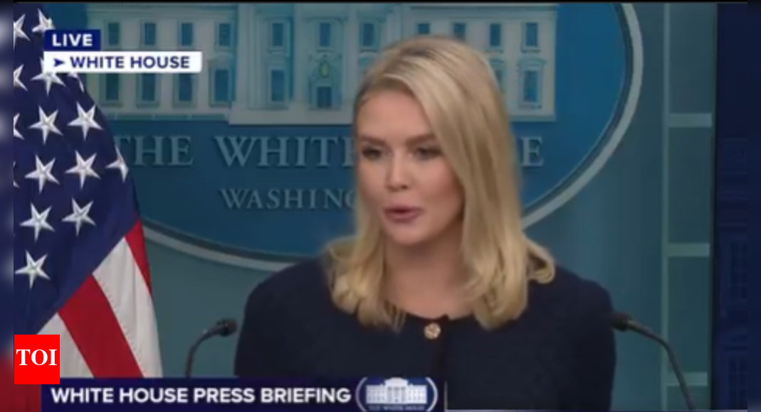 Musk calls Trump's Big Beautiful Bill 'disgusting abomination'; how White House reacted