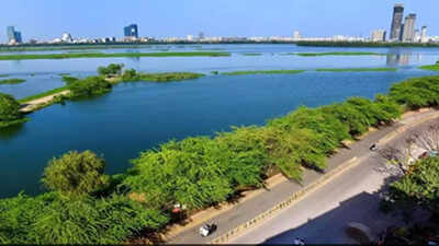 Delhi schools to hold monthly activities on water conservation and Yamuna awareness – Times of India