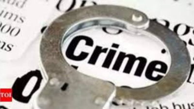 Toxic love kills: 3 young women murdered by possessive partners in Delhi; social media fuels jealousy, control, violence