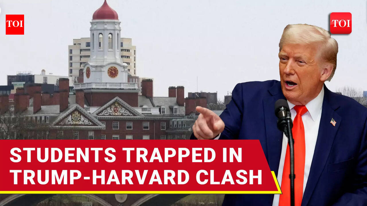 Harvard’s International Students Get Trapped In Trump Visa Crossfire ...