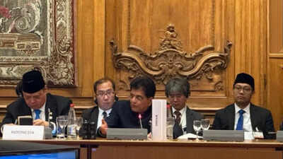 Picture source: X/Piyush Goyal 'Lift non-tariff barriers': Piyush Goyal pitches fairer trade rules at informal WTO ministerial meet in Paris