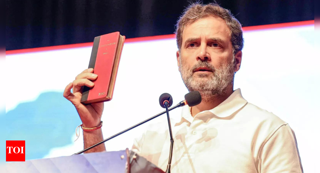 Allahabad HC rebukes Rahul Gandhi: Free speech has limits; Army can't be defamed