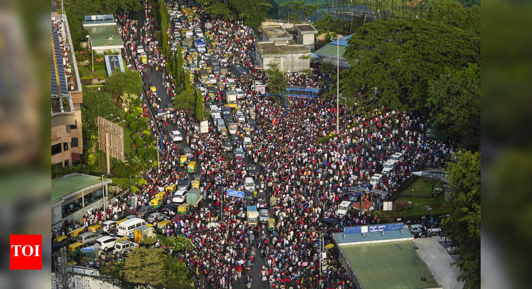 Watch: Fans climb trees and buses to witness RCB’s IPL victory
