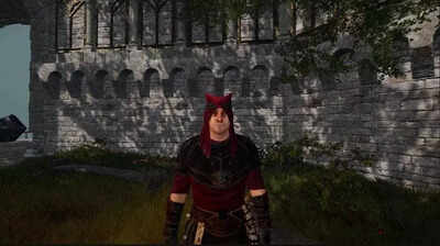 How to complete The Word is Silent quest in Tainted Grail The Fall of Avalon