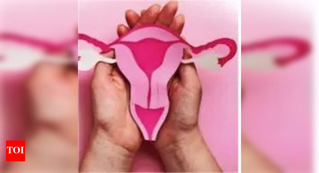 Genetics, poor lifestyle cause premature menopause in more women in Bengaluru: Doctors | Bengaluru News - Times of India
