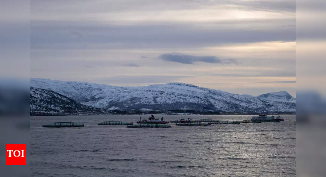 Ban high-seas fishing, mining 'forever': experts