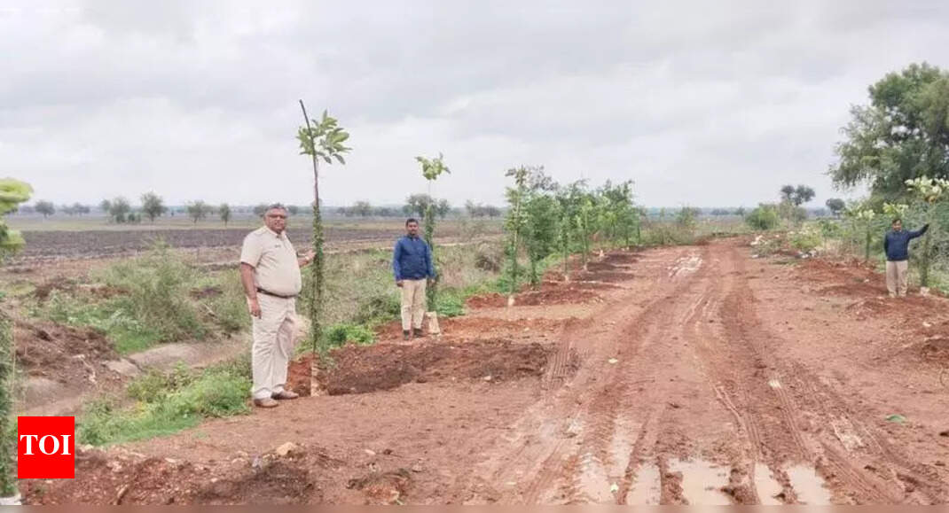 Karnatak University to Plant 1 Lakh Saplings for Environment Day