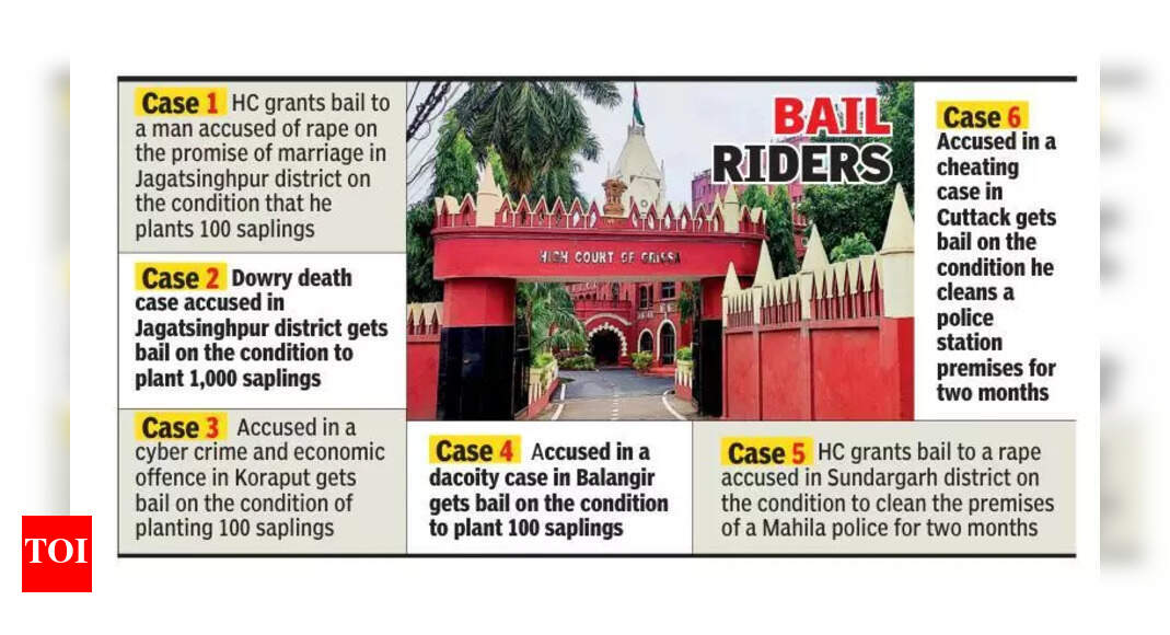 Orissa High Court Mandates Sapling Planting for Bail