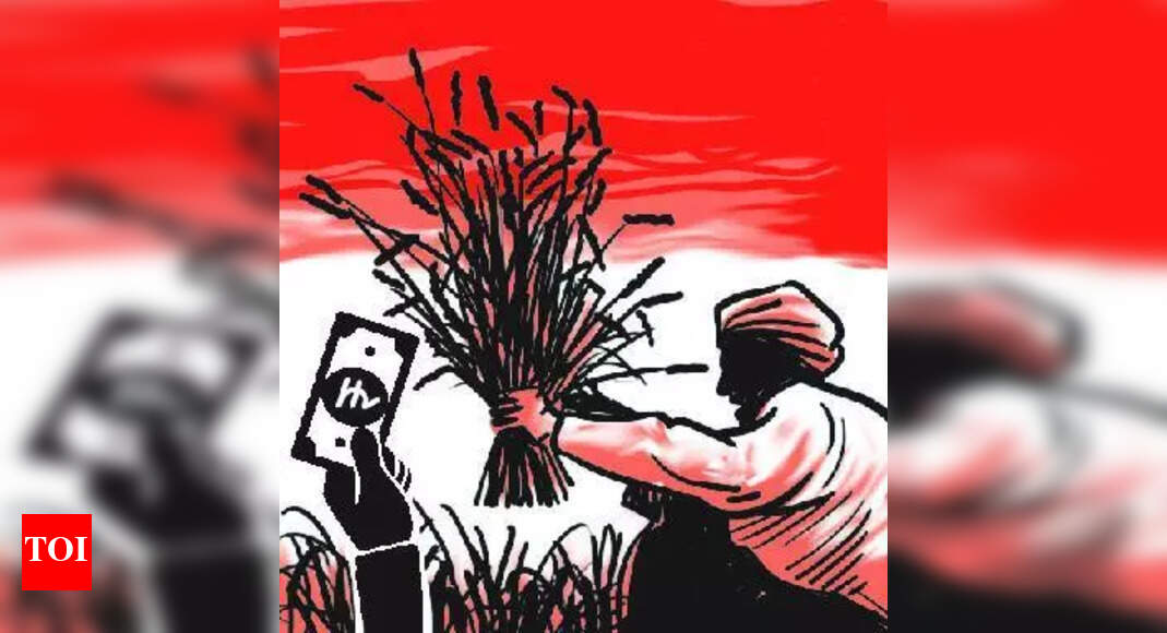 Govt. Distributes New Paddy Seeds to Boost Farmer Income