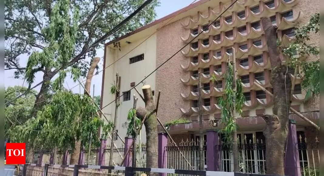 Guwahati Residents Concerned Over Unscientific Tree Relocation