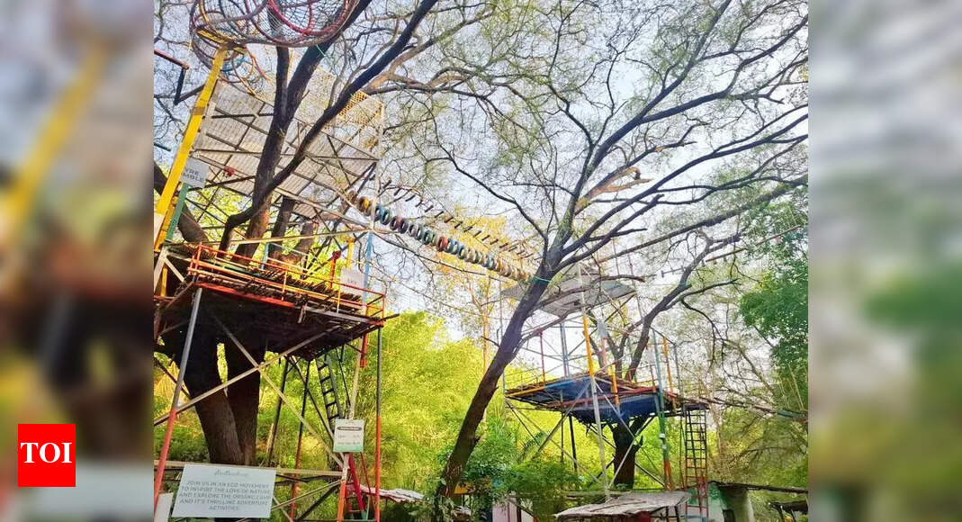 Adventure Park Prioritizes Bird Safety Over Profits