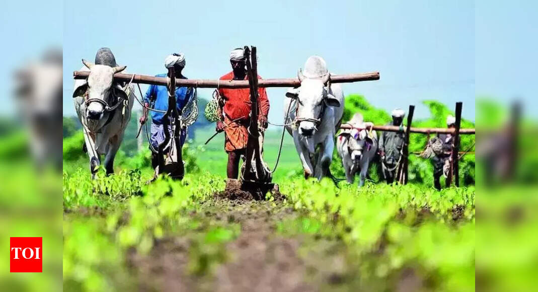 Telangana Farmer ID Drive Stalled by Address Mismatches