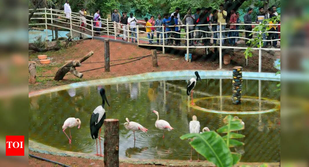Hyderabad Zoo to Build One of India's Largest Aquariums