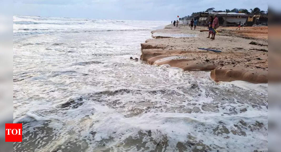 Goa prof Sergio Carvalho’s actions spurred rules for development on country’s coasts