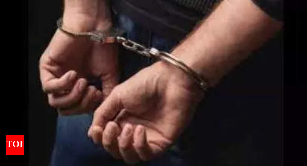 Goa Land Scam: Key Accused Harmalkar in ED Custody