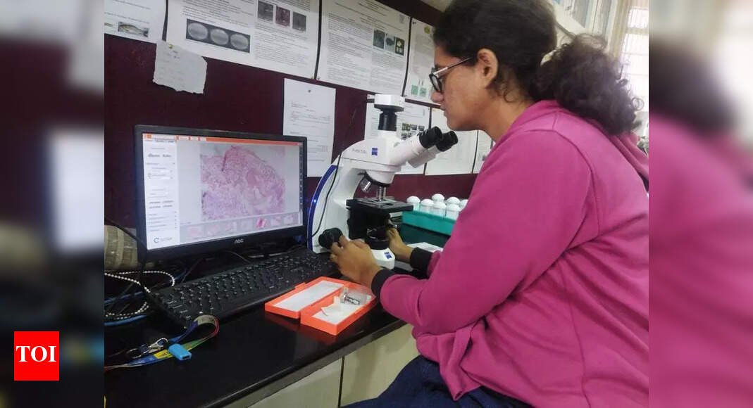 New Regenerating Flatworm Species Discovered in Pune's Pashan Lake