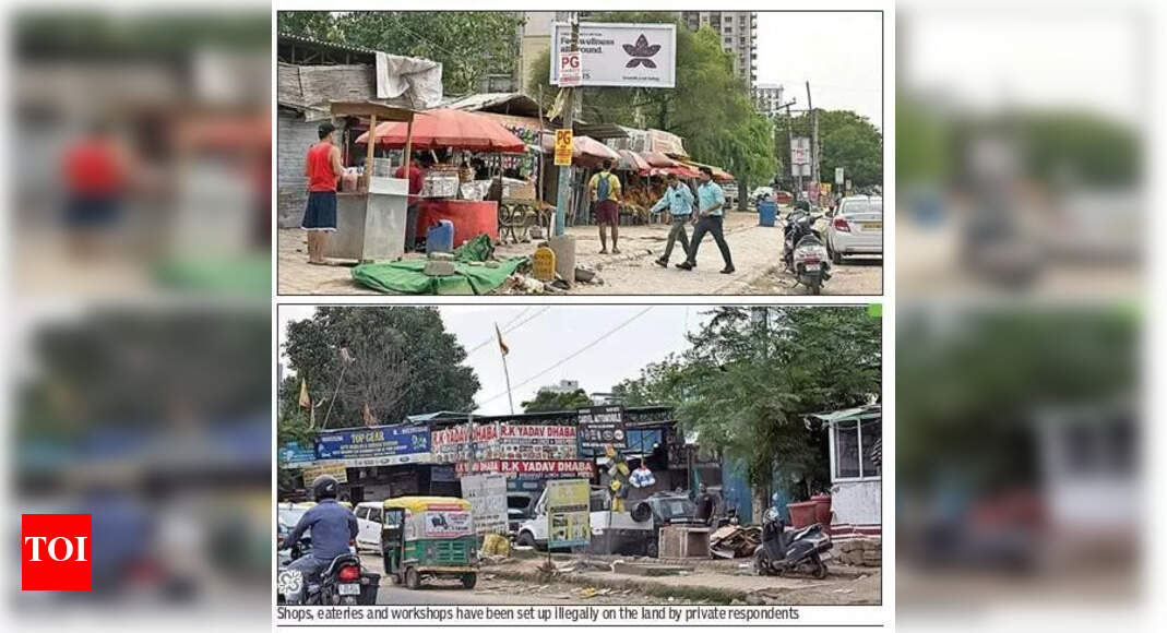 NGT Issues Notice Over Illegal Activities Near Galleria Market
