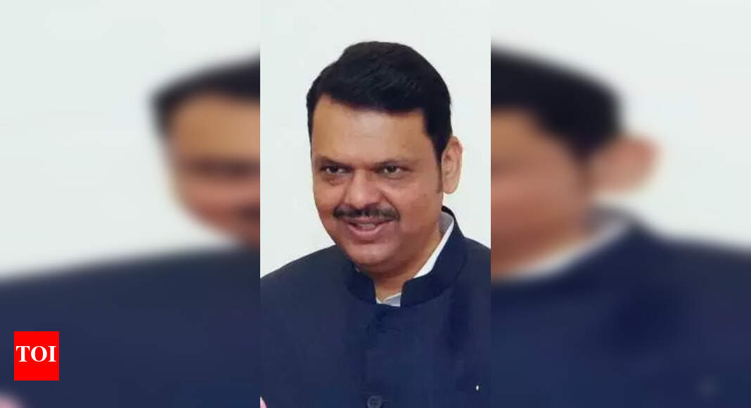 Maharashtra Forms Mining Authority to Develop Gadchiroli