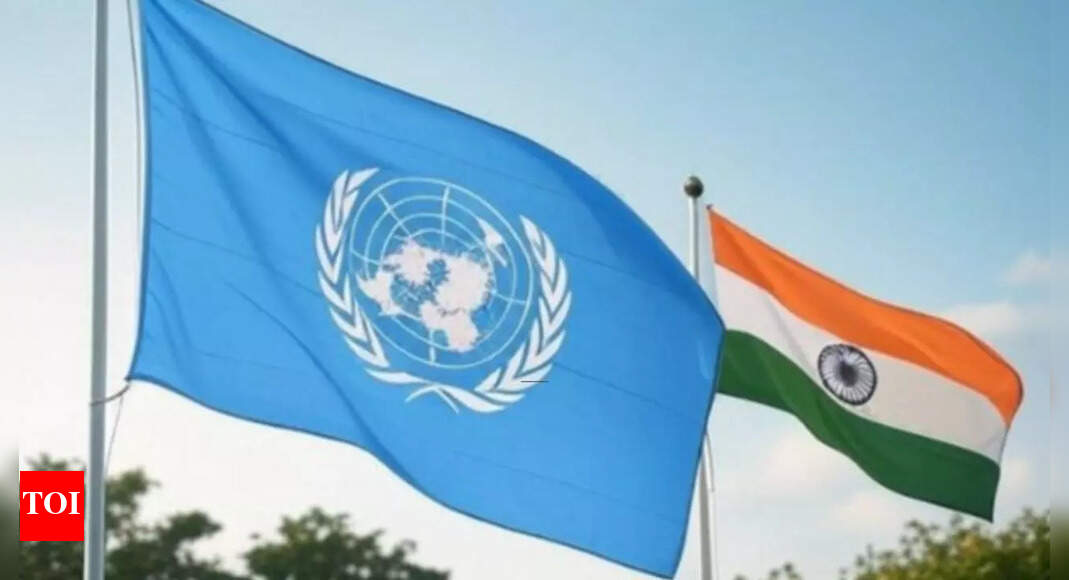 India elected to UN ECOSOC: India pledges commitment to global development - all you need to know