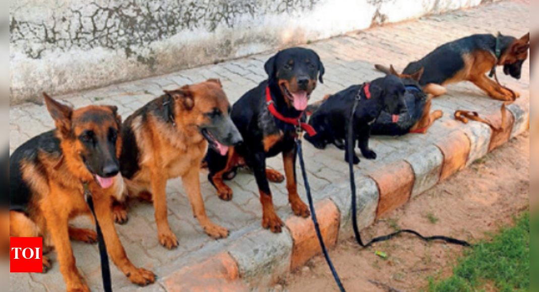 Kolkata Police Implements Stringent Medical Tests for New K9 Unit