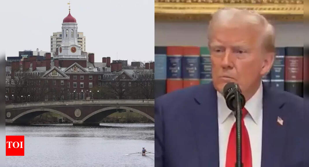 'Unsuitable': Trump bars foreign students from coming to US at Harvard; what next?
