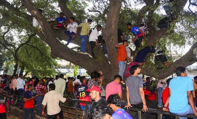  'Sad day for cricket' - Cricket world mourns tragedy during RCB's IPL victory celebrations