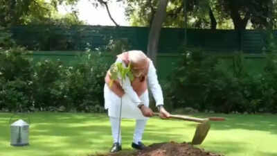PM Modi marks Environment Day; plants Sindoor at residence- watch video