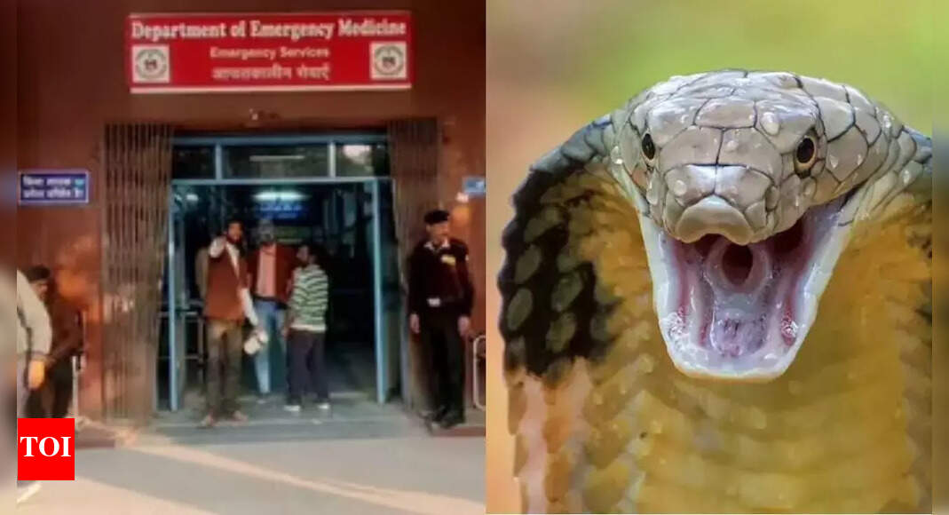Family Brings Cobra to Hospital After Snakebite, Causing Panic
